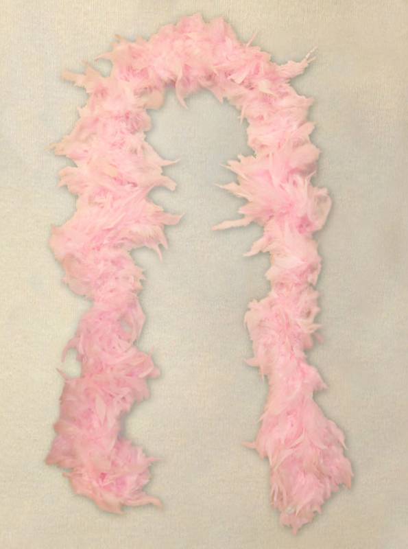 Beads by The Dozen Feather Boa Hot Pink Light Weight