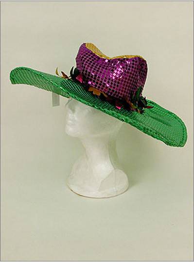 Mardi Gras Hat