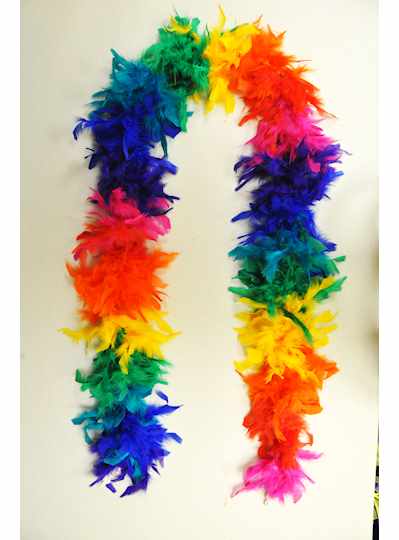 Feather Boa Rainbow Light Weight