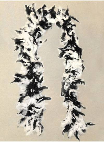 Feather Boa Black And White Light Weight