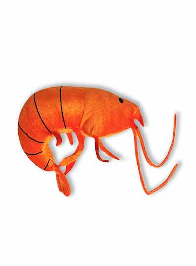 8" Plush Orange Shrimp - 6 PIECES