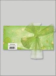 JBJ Wrap Green Gift Certificate Bag