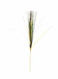 21" Spray Purple, Green and Gold Onion Grass Mardi