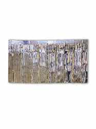 10 x 15" Metallic Silver Fringe