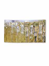10 x 15" Metallic Gold Fringe