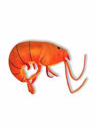 8" Plush Orange Shrimp - 6 PIECES