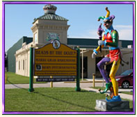 Our Mardi Gras Store